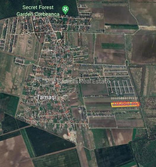 Vanzare teren 19280 mp, Corbeanca, Tamasi, deschidere 53ml - 2