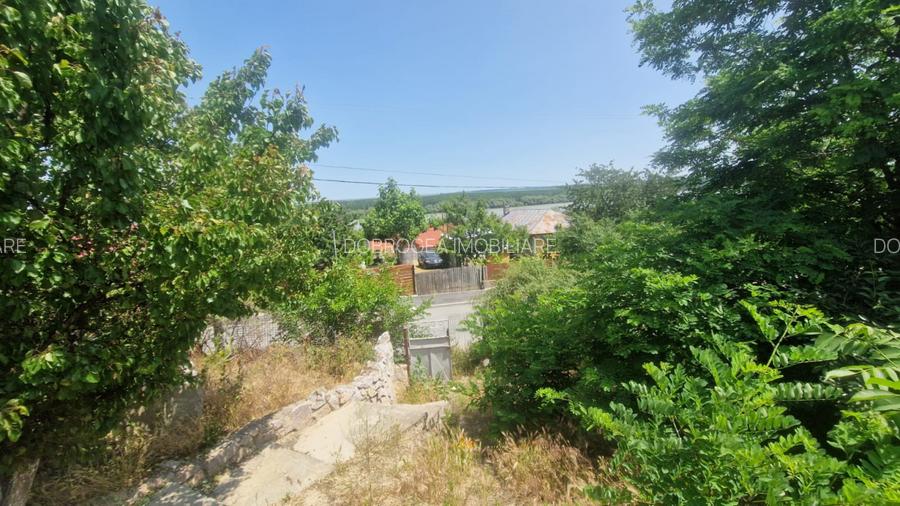  MAHMUDIA-TERENURI SI CASE - 6