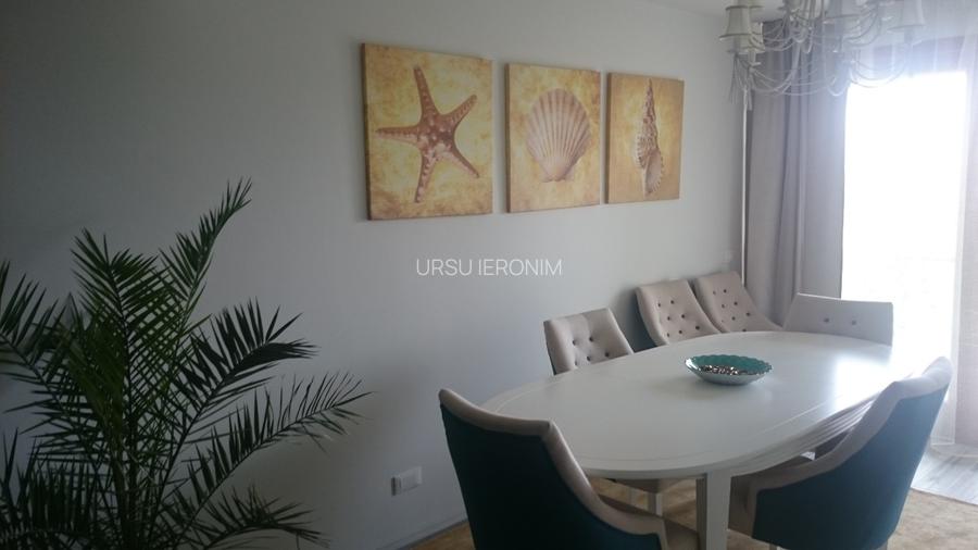 Apartatamente premium de inchiriat in zona Parcul Sub Arini - 14