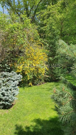 Vanzare vila 5 camere | Langa padure | Bucuresti | Baneasa - 15