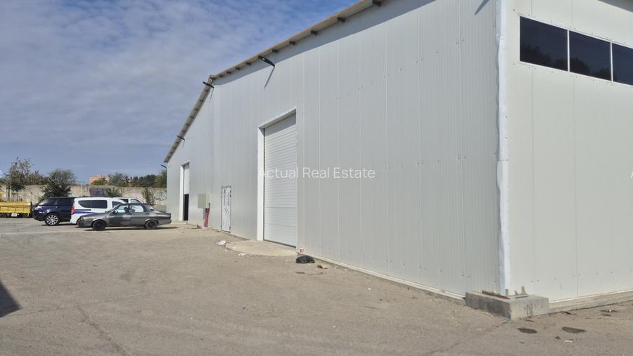 HALA | HALTA TRAIAN | SERVICE | DEPOZITARE - 3