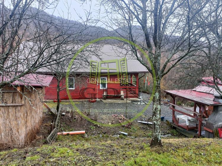 Cabană de vânzare Bistra-Mureșului - 11