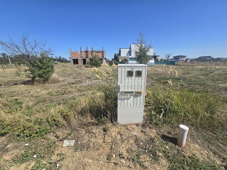 Gulia, Tartasesti, Eden Forest Residence,Samurcasi - 10