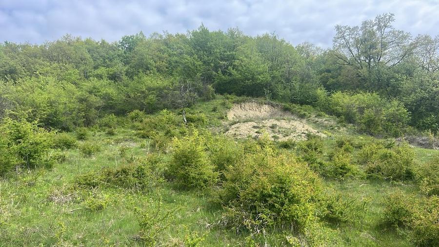 Teren intravilan Corunca – 1000 mp – vedere panoramică 180° + acces pădure – ult