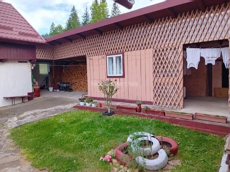 Casa Câmpulung Moldovenesc  - 7