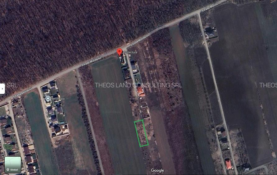 Teren intravilan 1170 mp Corbeanca Padurea Tamasi - 6