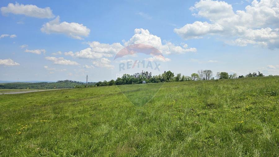 Teren Ilisesti  7000mp extravilan/ DN 17, Suceava - 25