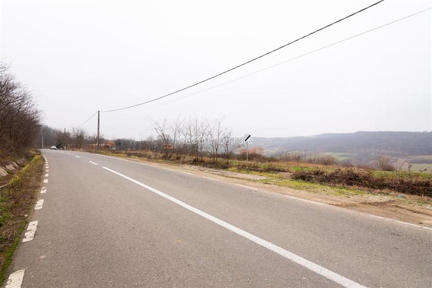 RECO Teren in Burzuc 13 041mp - 4