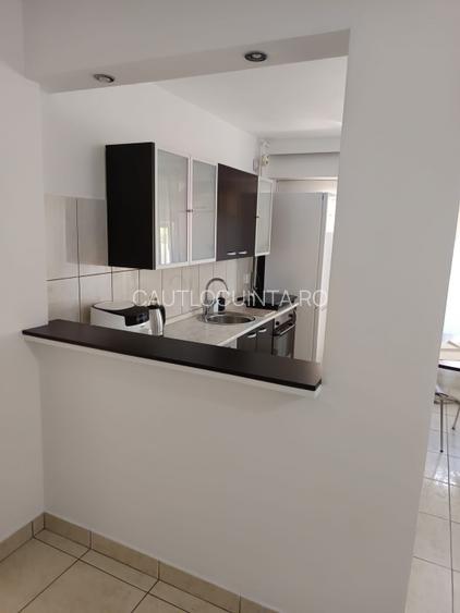 Studio Dublu De Inchiriat | Aviatiei | Promenada Mall | Herastrau - 9