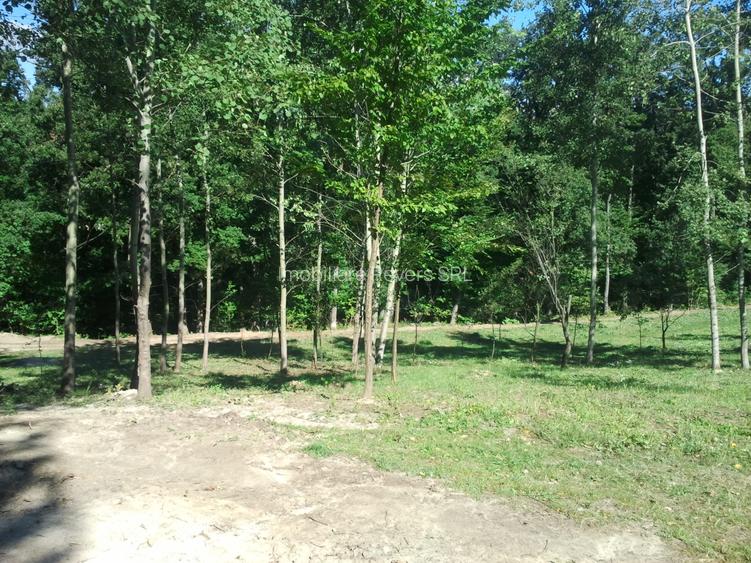 Teren livadă cu panoramă superbă Dealul Malului pentru casă sau cabană - 34