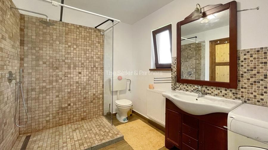 Complex de 3 case pe 18000 mp teren - 33