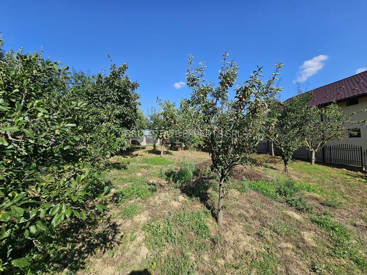 Vila superba de vanzare in Vintila Voda, Buzau D+P+1 si anexe - 48