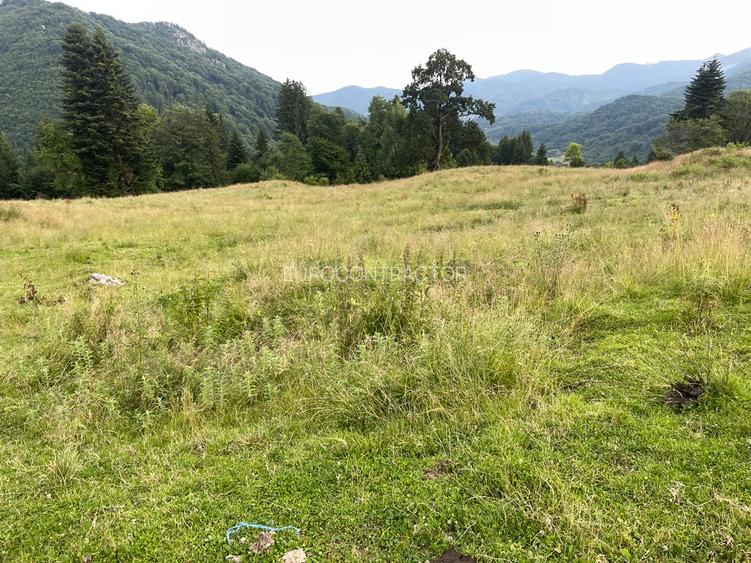 Teren intravilan dezvoltare turistica Hoteluri/Pensiuni S+P+2E+M - 13