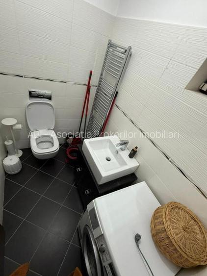 Herastrau Kiseleff Ap 3 cam deosebit - 16