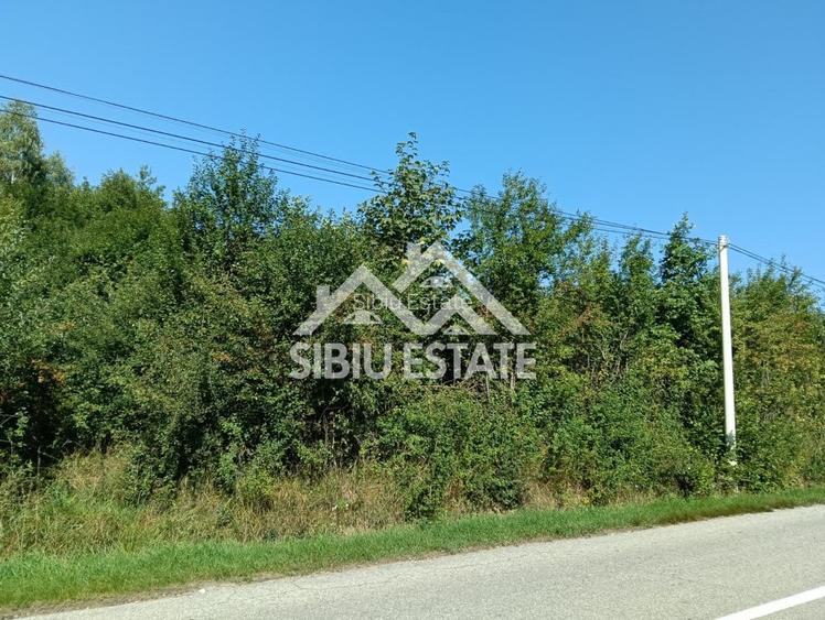 Teren  construibil ,la sosea, intre Vale si Sibiel, zona cu potential - 11