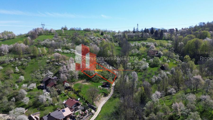 Teren 2500 mp Sohodol - 18