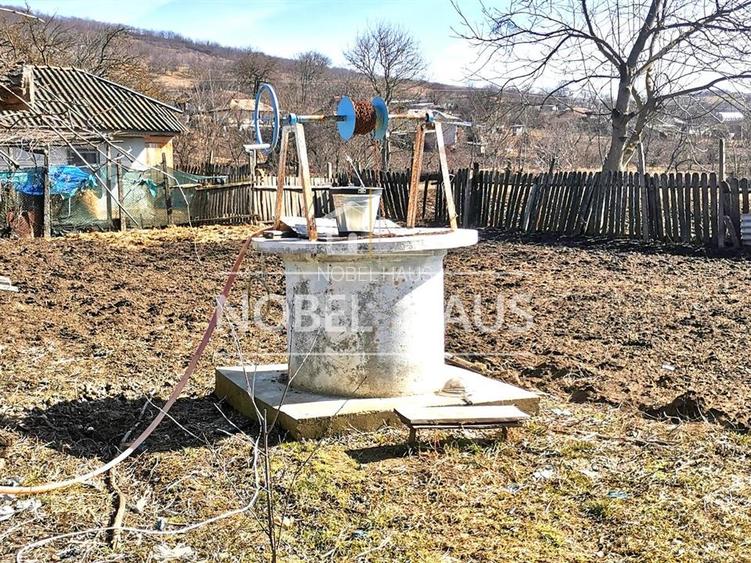 Casa, teren si padure, in sat Siscani, jud Vaslui - 10