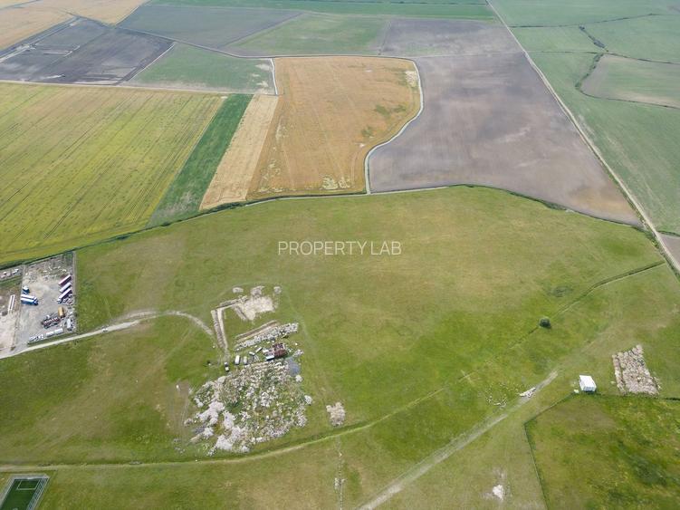 Teren intravilan de 29,970mp Sacalaz - 23