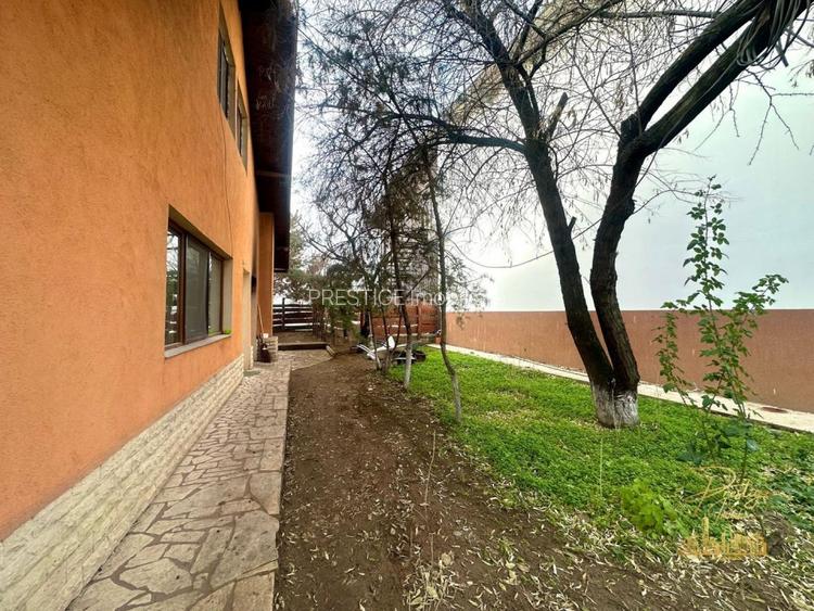 Domeniu - Centru de colectare, 7 ha de vanzare in Valea lui Mihai - 49