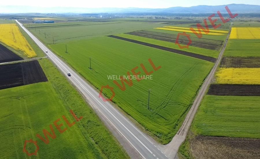 Teren extravilan de vânzare pe DN13E, vis-a-vis de intersecția spre Angheluș! - 4