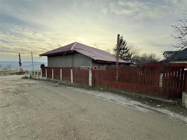 Secuieni - 17 km de Bacau - spatiu comercial - 4