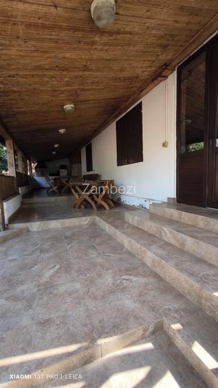 Afacerea Ideala- Vila cu deschidere la Dunare 50 ml cu Ponton amenajat, ESELNIT - 5