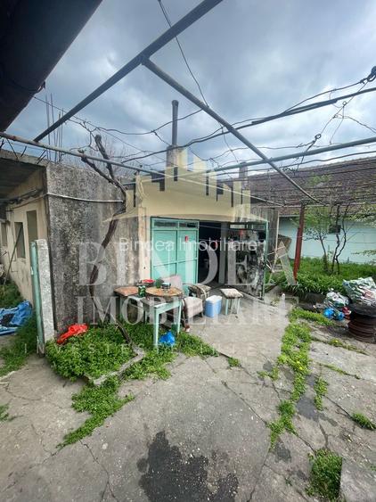 Casa individuala 1542mp teren, garaj- Giarmata - 3