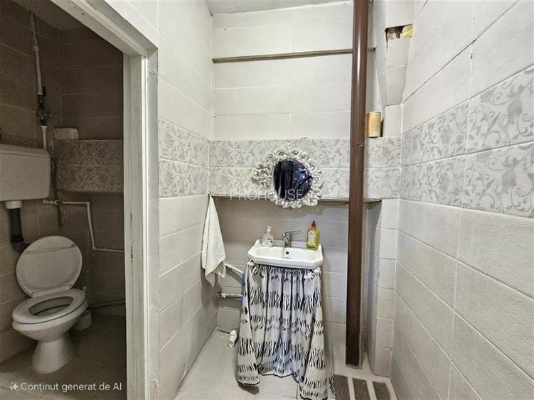 Spatiu comercial, Piata Centrala, 193mp - 11