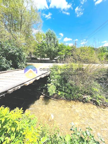 CASA traditionala BICAZU ARDELEAN + teren extravilan 1,6 hectare - 12