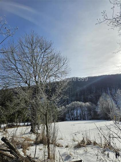 TEREN INTRAVILAN 3200 MP DE VANZARE SLANIC M9LDOVA - 7