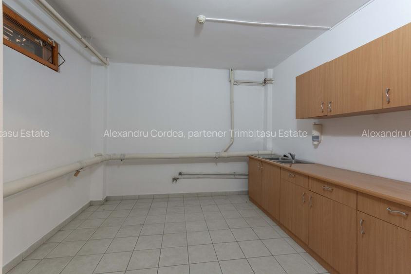 Aviatiei | Smaranda Braescu | Vila reprezentativa de inchiriat - 16