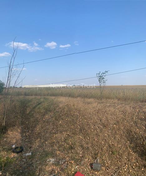 DJ200 Afumati Petrechioaia  Vanzare Teren intravilan -extravilan - 3