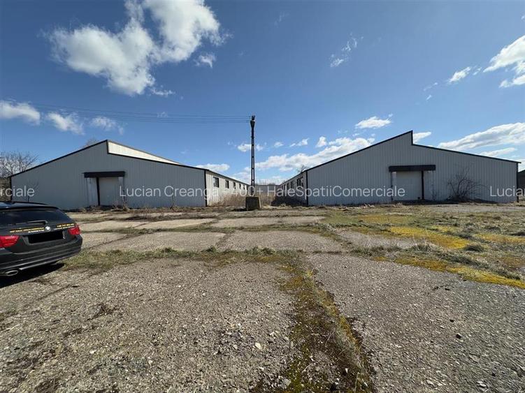Hala depozitare - productie Iasi, Ciohorani, 3510mp - 7