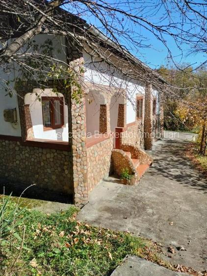 Iedera, Cricovul Dulce, casa de vanzare 90mp, teren 2450mp - 11