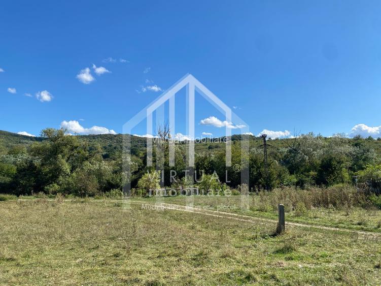 Teren extravilan de vanzare in Sibiu, 40,000 sau 80,000 mp - 2