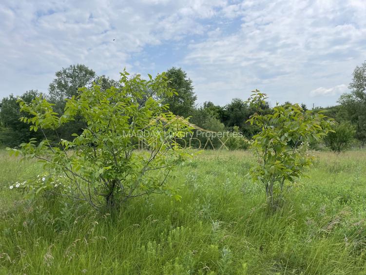 Teren intravilan***1439 mp***Cretesti-Vidra-Ilfov - 2