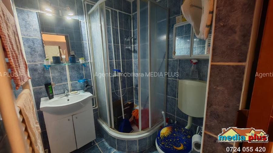Apartament cu 4 camere parter Siderurgistilor Vest, - 8
