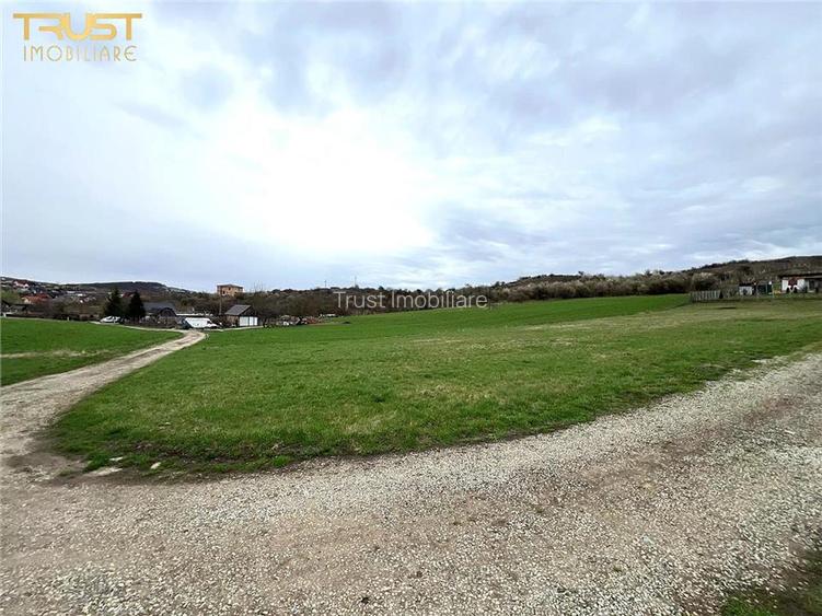 Teren extravilan zona lac Sigmir utilitati - 5