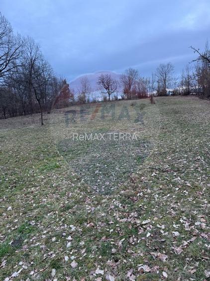 Teren intravilan cu priveliste de vanzare in Rus - 4