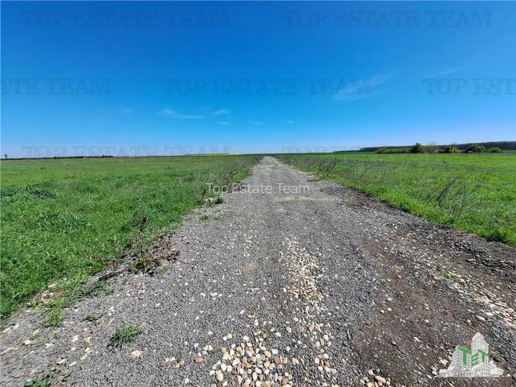 Loturi teren de vanzare Branesti/Vadu Anei - 9