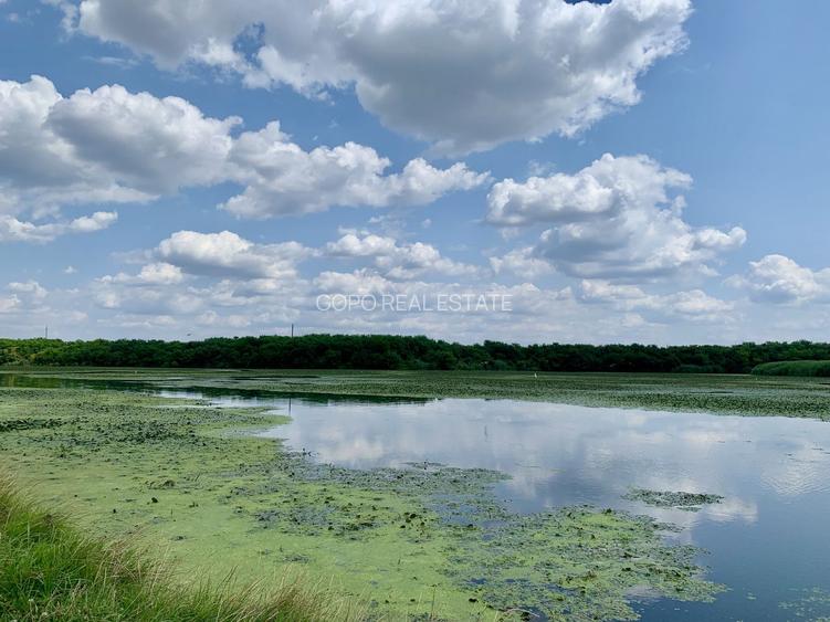 Teren Crevedia 45000 mp - 10