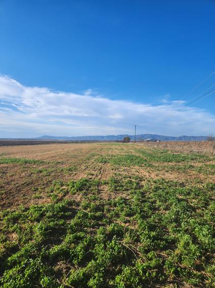 Vanzare teren constructii casa