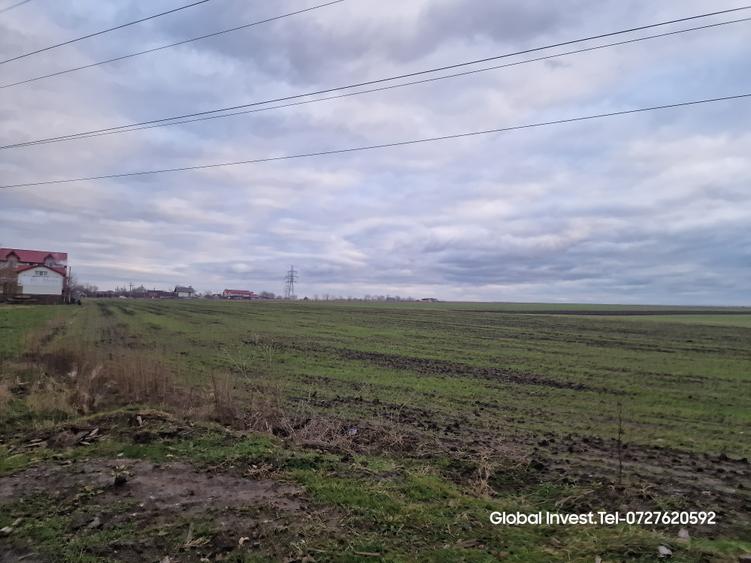 Corbu- Teren 2500mp la intrare in localitate pe dreapta