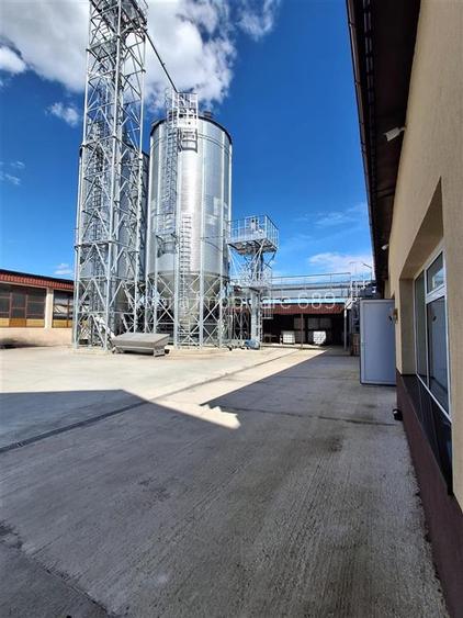 FABRICA DE ULEI AFACERE LA CHEIE DE VANZARE - 4