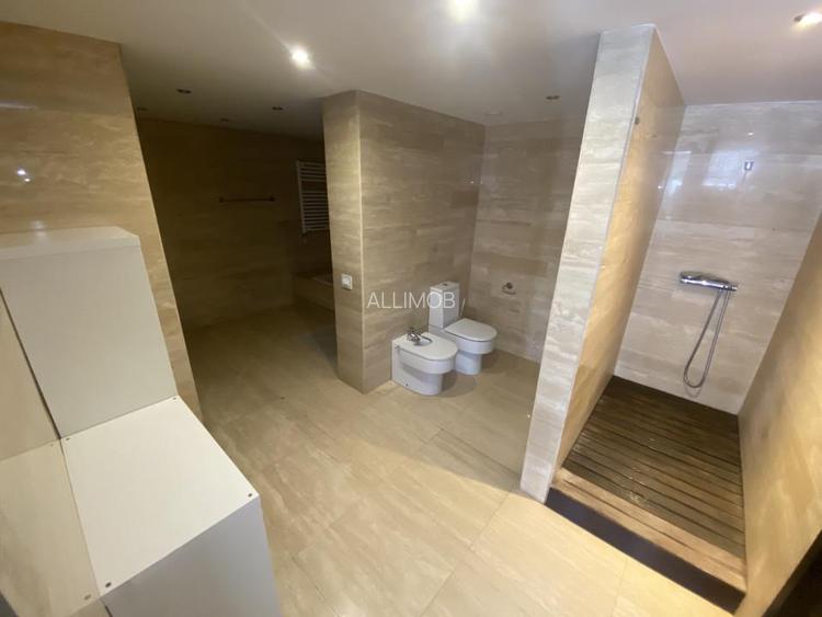 Penthouse, 5 camere, piscina proprie, zona  Kiseleff - Arcul de Triumf. - 16