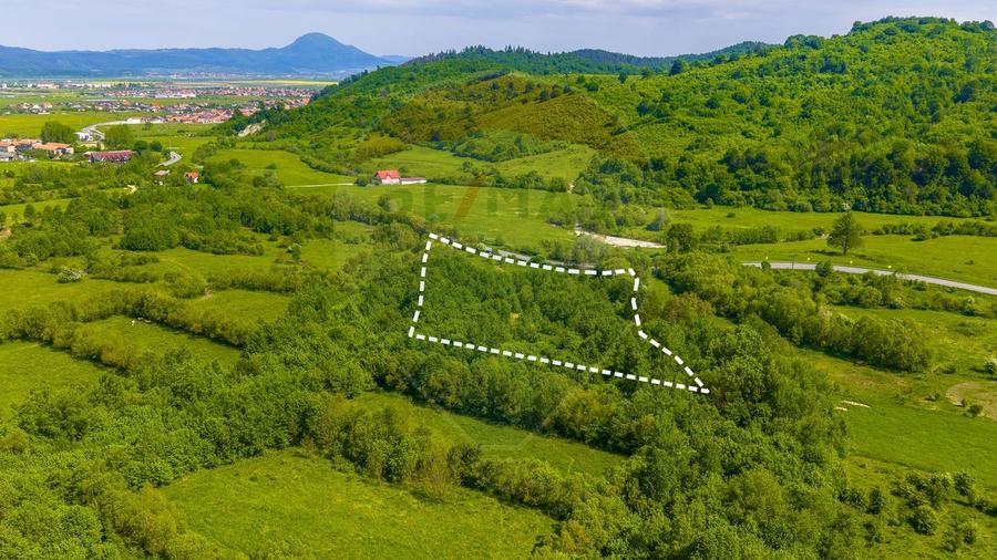 Teren 1ha Valea Glăjeriei - Rasnov | Comision 0%