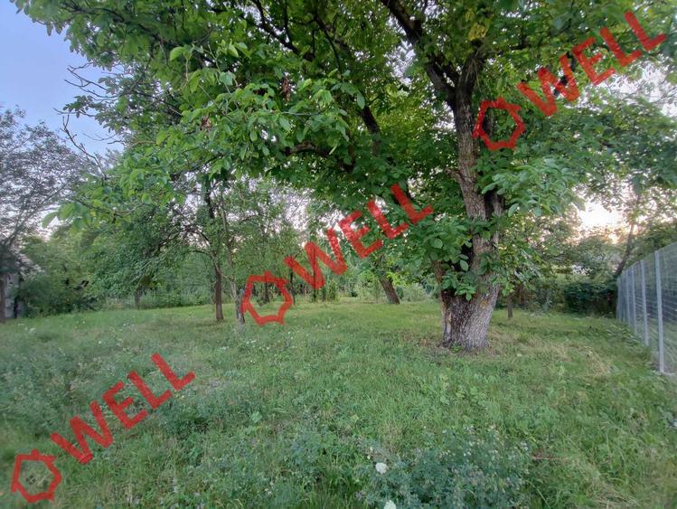 Teren intravilan de vânzare în Calnic!