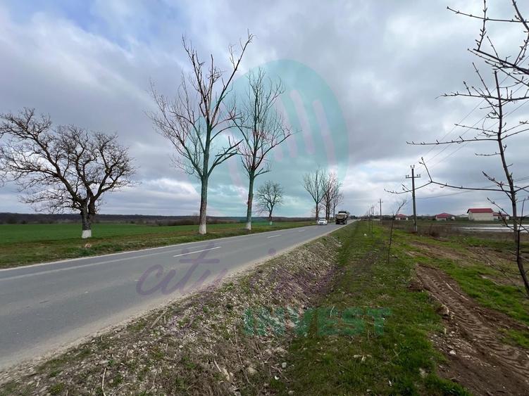 Teren intravilan la sosea | 6.439 mp | lângă Laguna Verde | Investiție
