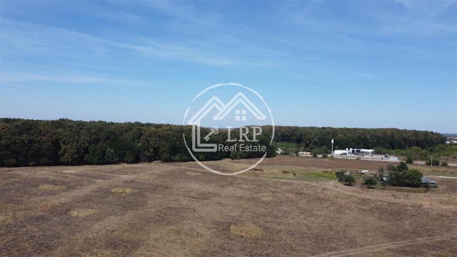 Teren Voluntari-Pipera | 3.700mp | Zonă Pădure & Școli Internaționale
