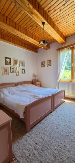 Vila Voineasa ,Transalpina ,teren5675mp
